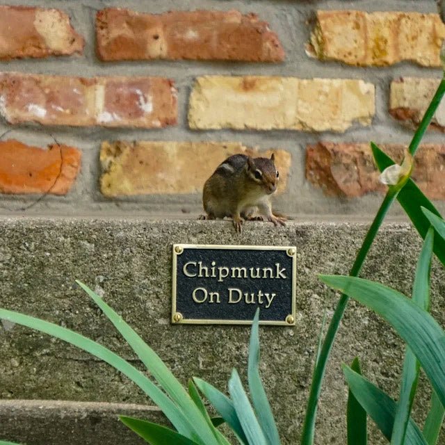 Small Custom Plaque Rectangular Sign 5